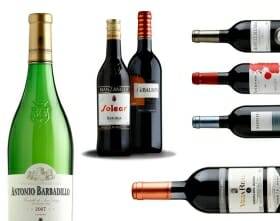 Bodegas Barbadillo de nuevo presente en Sicab