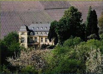 Introducción al Riesling: esos vinos inpronunciables