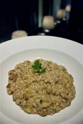 Risotto de Boletus con parmesano al aceite de trufa