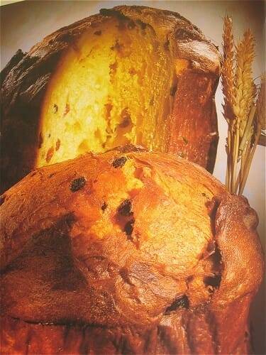 El Panettone es un mordisco a su esponjosa suavidad