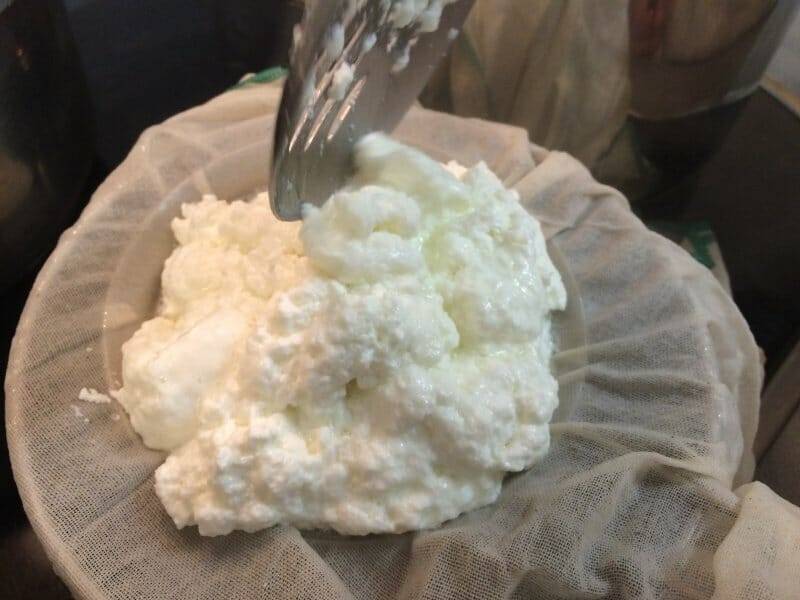 Colocando el cuajo en la tela