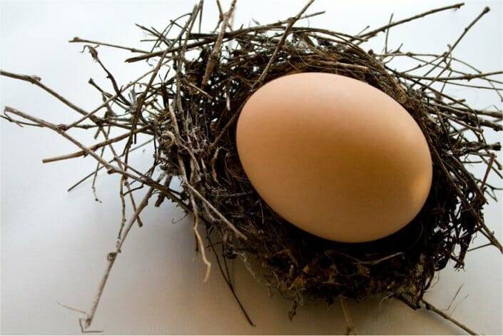 Los huevos no aumentan el colesterol