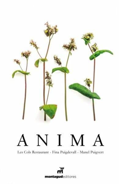Anima
