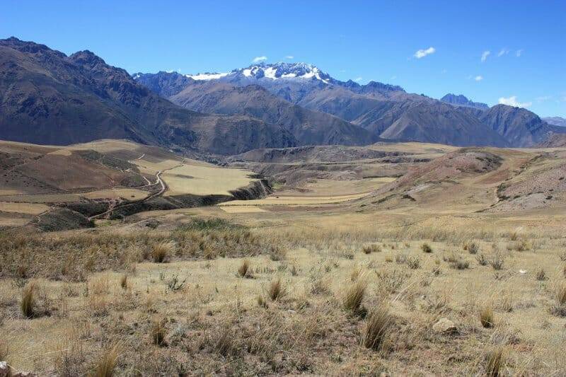 La Maca es un planta originaria de los Andes centrales del Perú