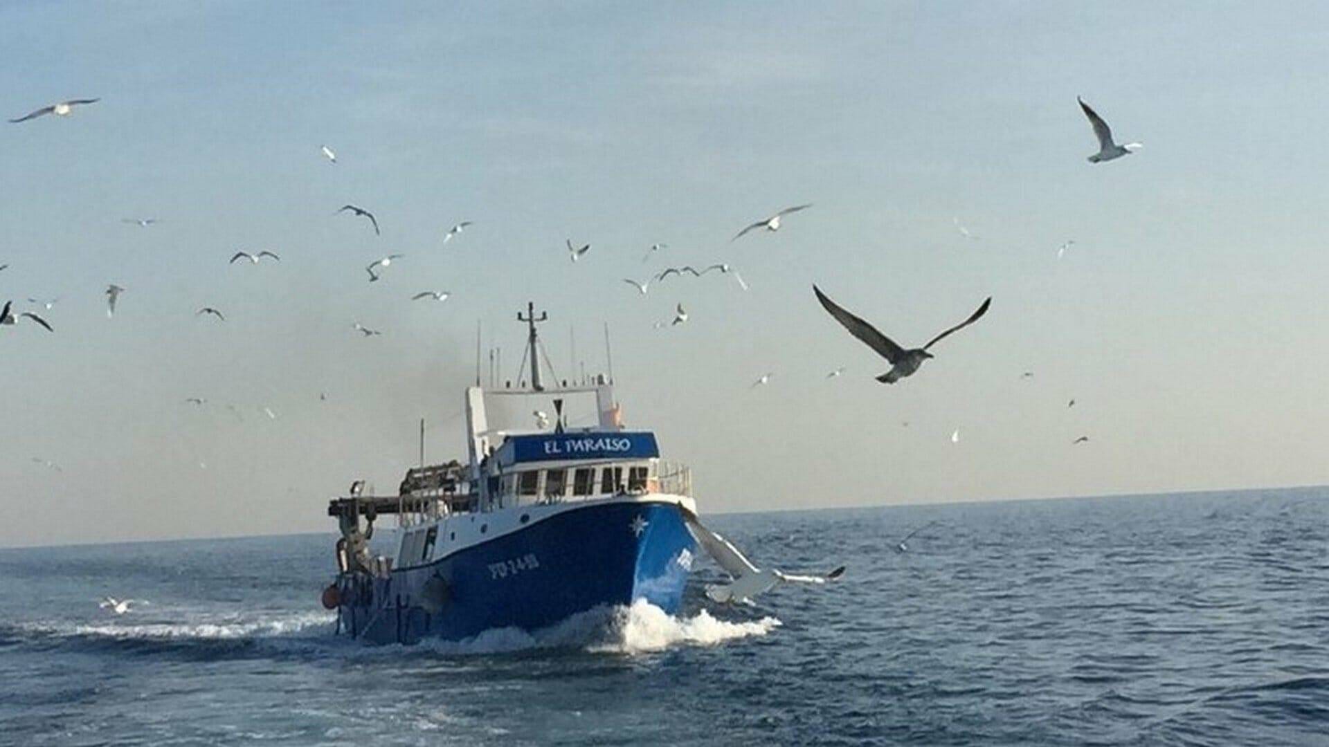 MARINERO_DEF