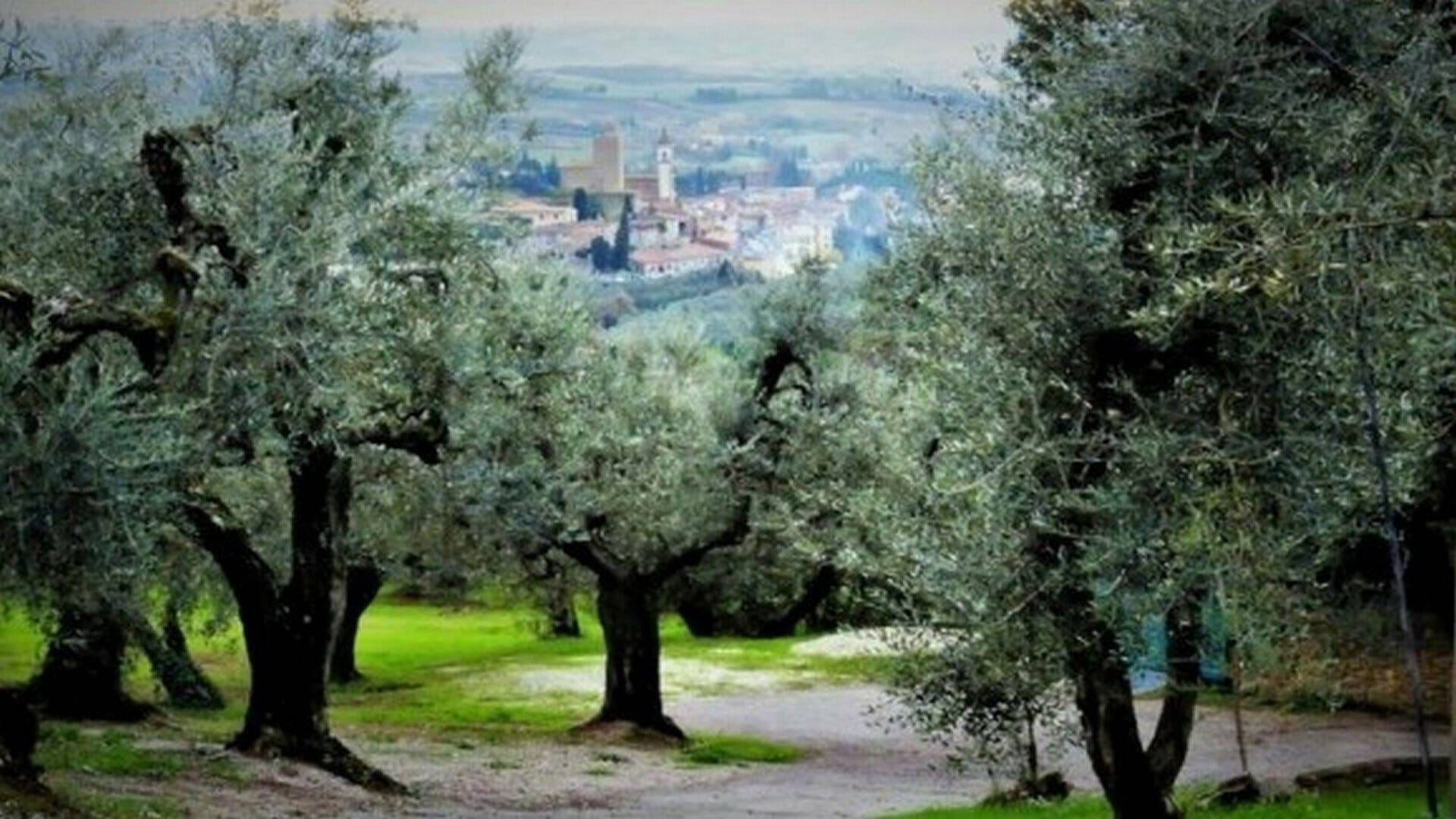 Viaje a la Italia de Leonardo da Vinci: naturaleza, arte, cultura y gastronomía