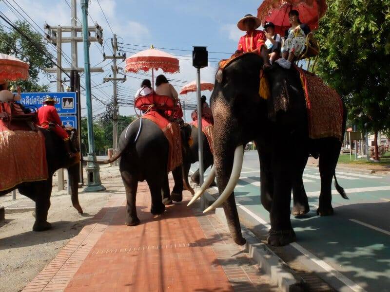 Tráfico de elefantes en Ayutthaya
