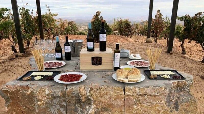 Vinos rioja oriental