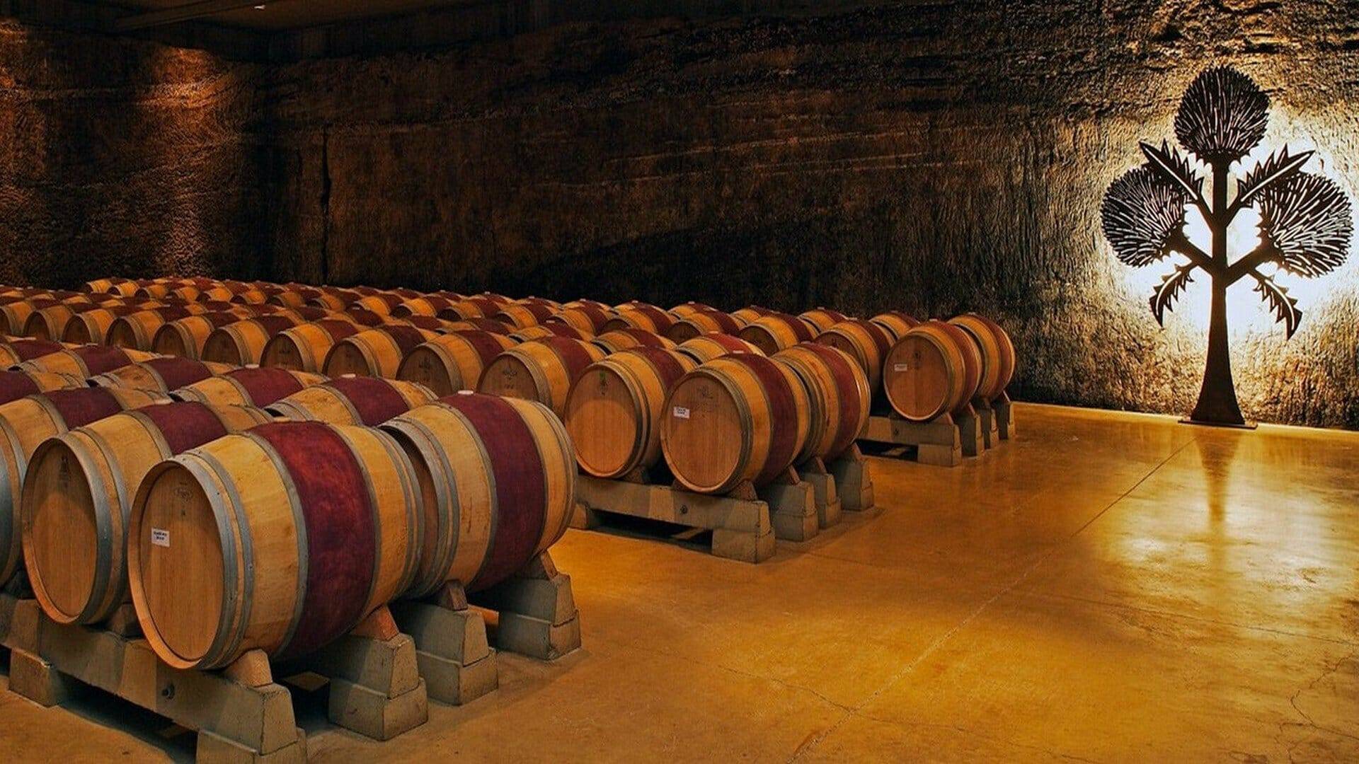bodegas rioja