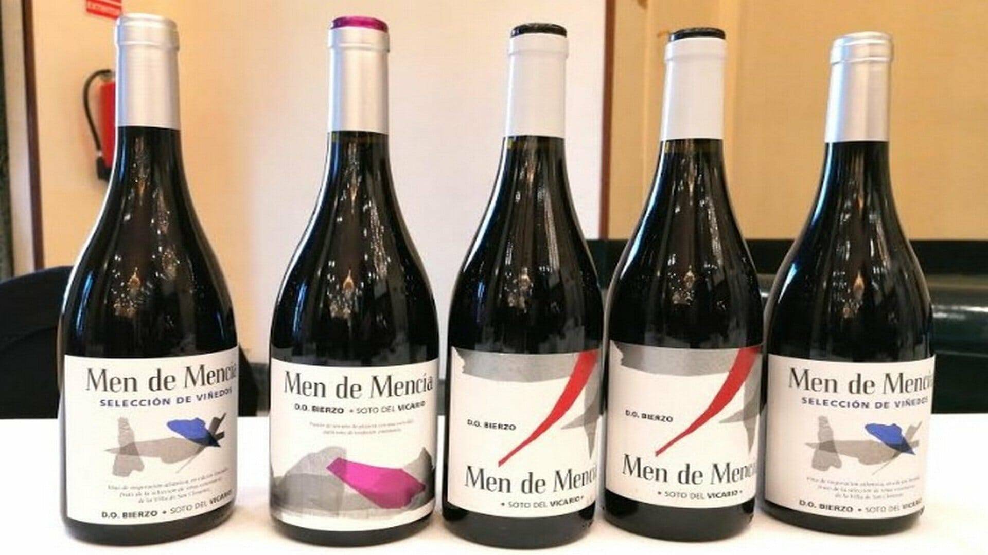 Vinos Bierzo