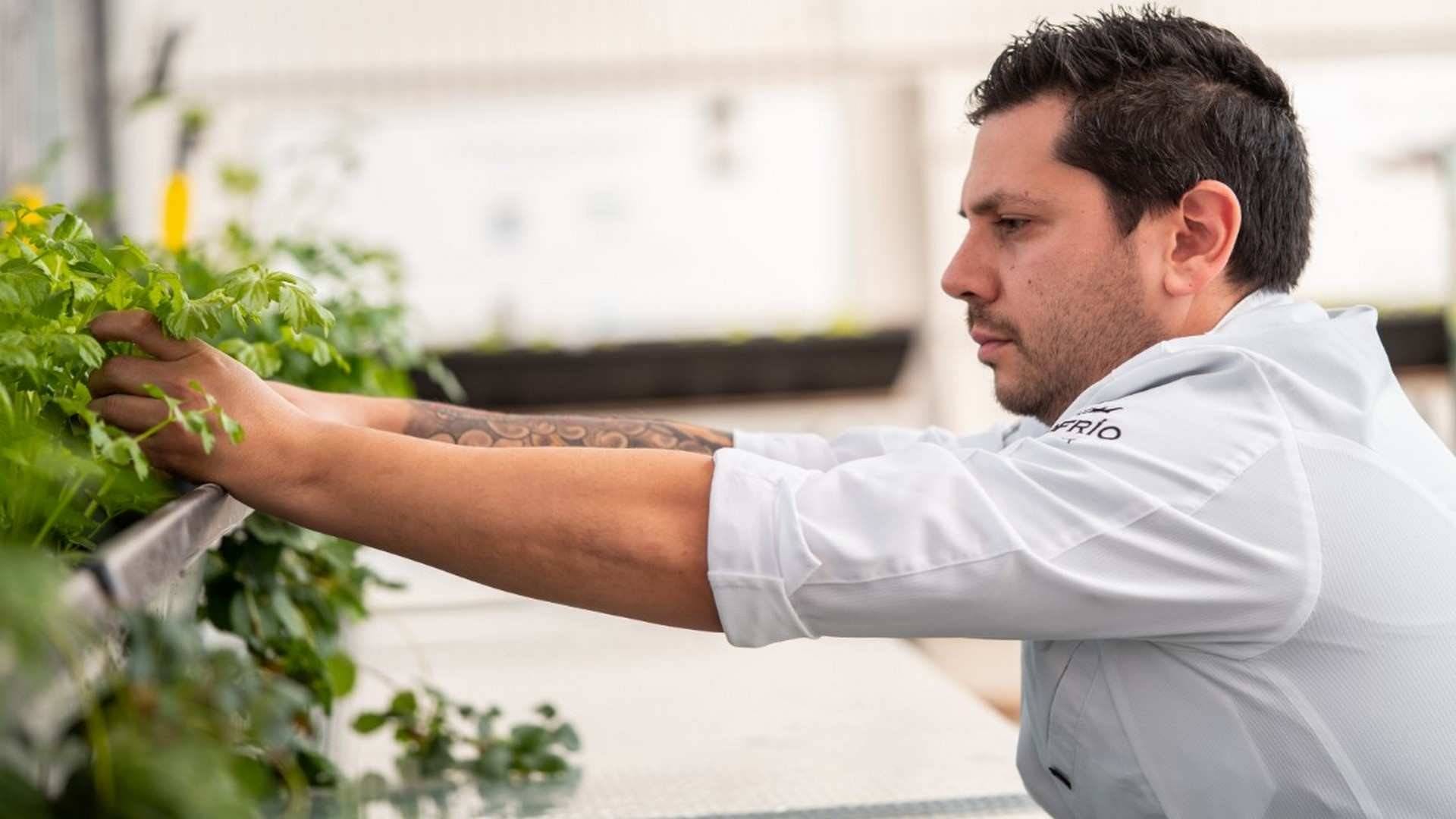 Diego Gallegos, chef se Sollo, en Málaga