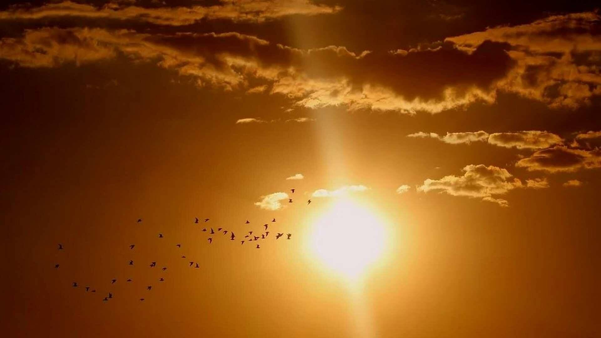 ¿Cómo obtener Vitamina D durante la cuarentena?