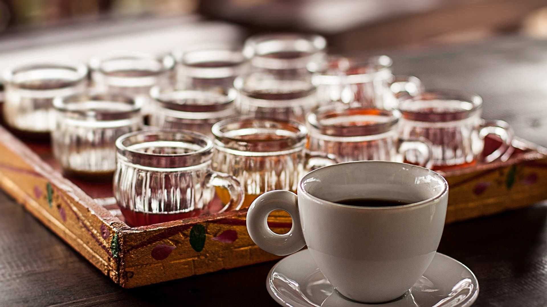 Kopi Luwak, el café más caro del mundo