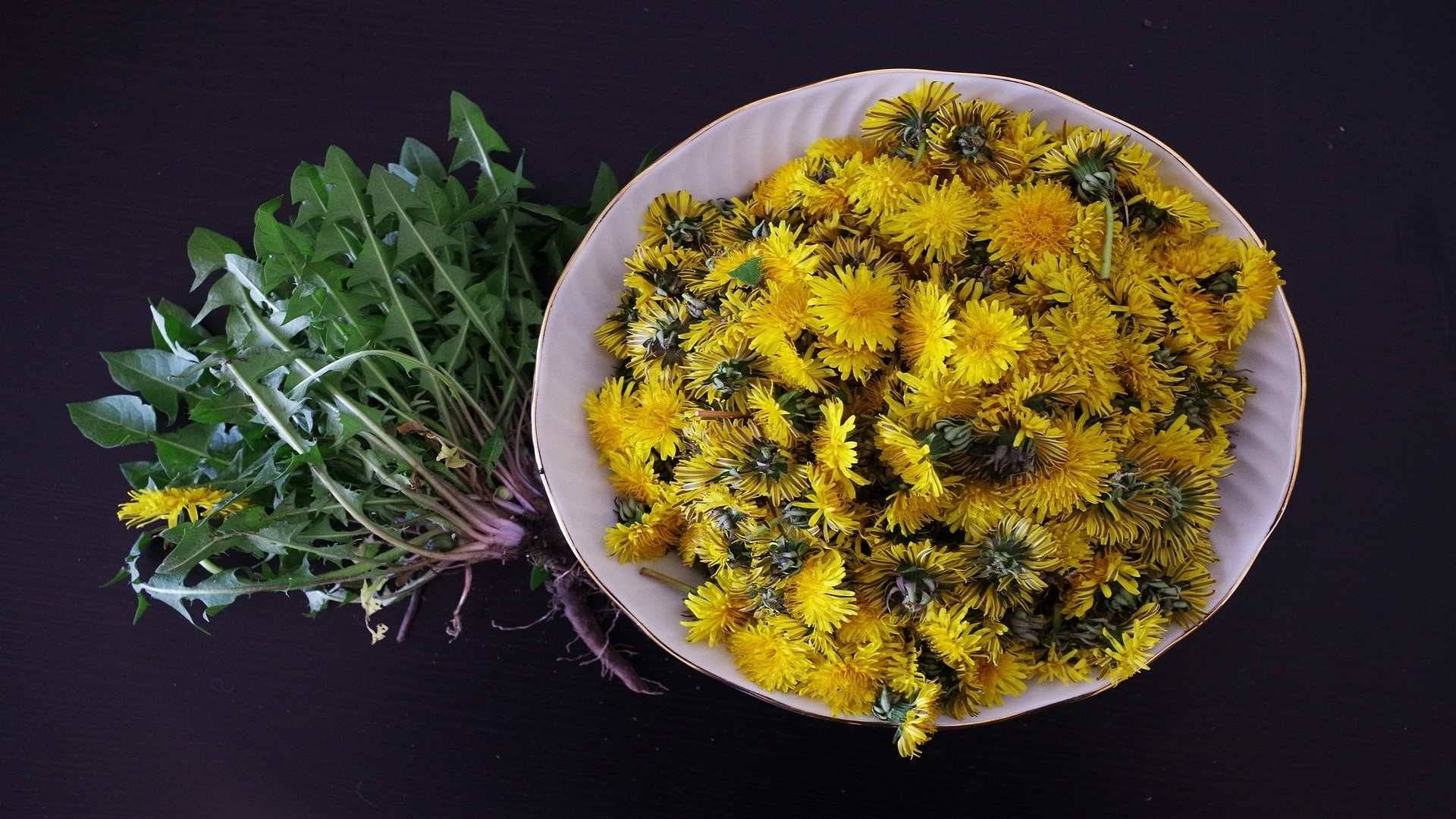 Flores que se comen: color, sabor y estética