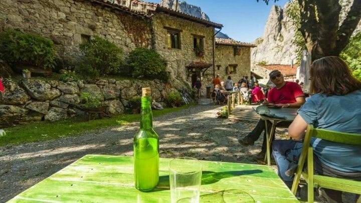 Ruta de la Sidra de Asturias: campos de manzanas, sidrerías y 'culines' para el verano