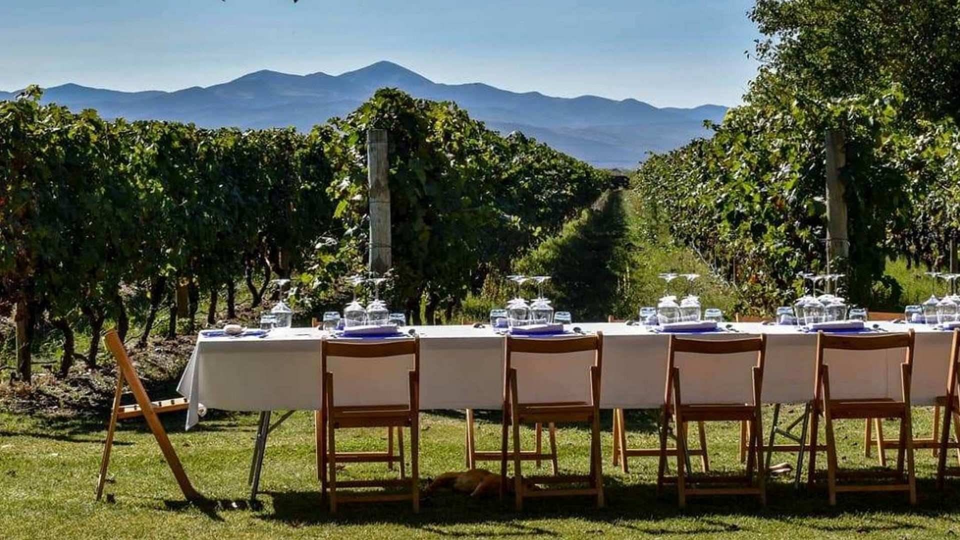 Las bodegas de La Rioja... son para el verano
