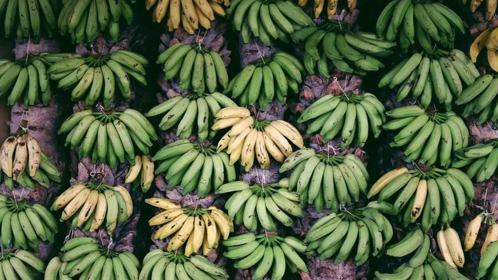La gastronomía brasileña: color, sabor y contrastes