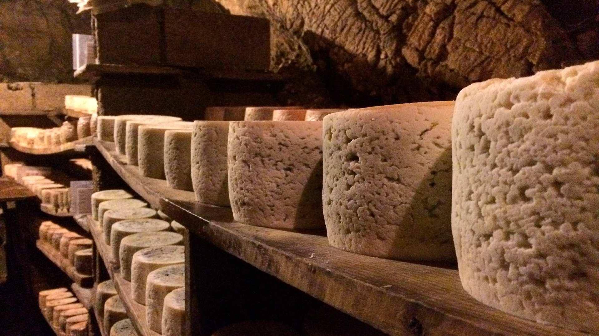 Los quesos de Cabrales maduran sobre tablas de madera en las cuevas. Cueva Exposición del Cabrales. Foto: ©Turismo de Asturias