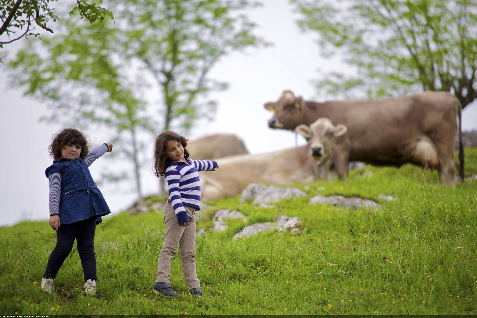 Quesería Vega de Ceñal, con visitas para toda la familia. Foto: ©José Ramón Navarro Tudela. Turismo de Asturias