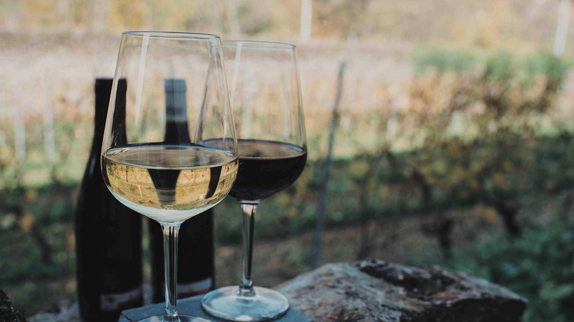 Bodegas de Asturias y la cocina de las guisanderas, la escapada perfecta para este otoño
