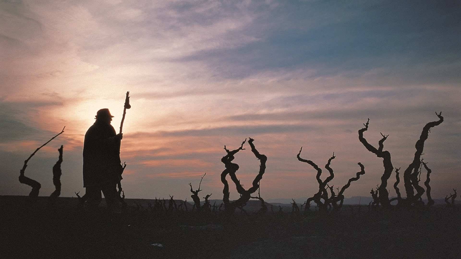 Camino de Santiago en La Rioja, paradas y fondas que te gustará conocer