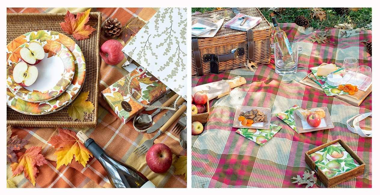 ¿Nos vamos de picnic?