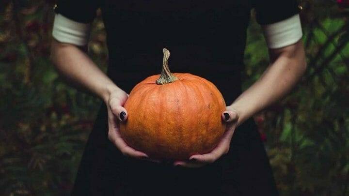 La Calabaza más allá de Halloween: propiedades y beneficios de la reina naranja