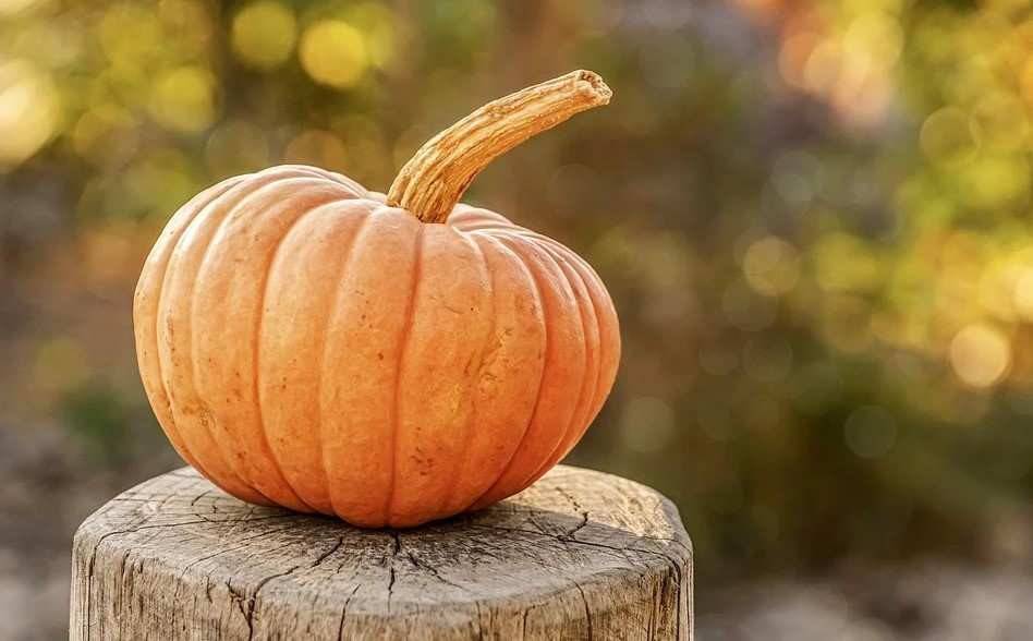 La calabaza es rica en vitaminas, además de antioxidantes