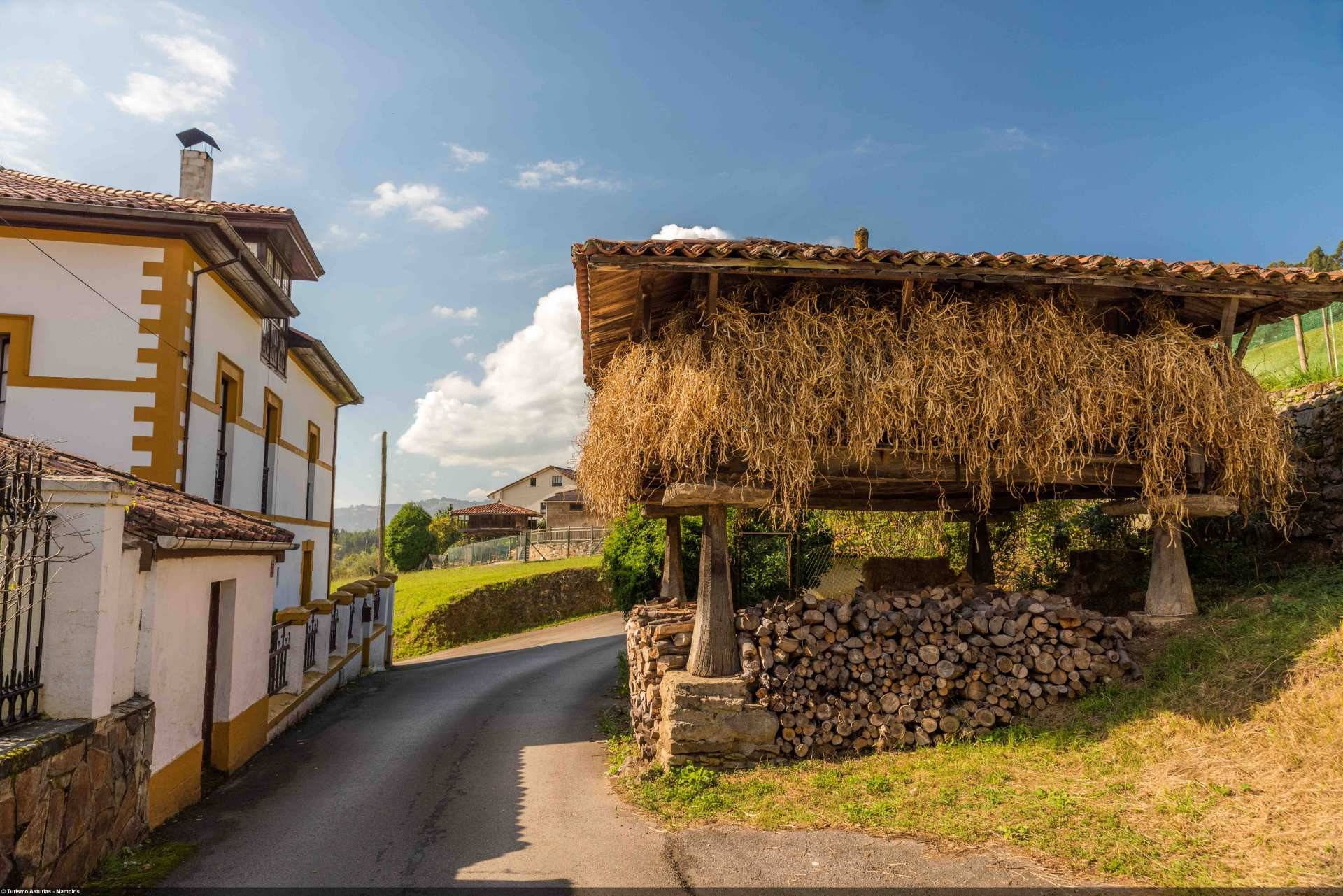 La mayor zona de producción de la faba de Asturias se concentra en Pravia y Grado. ©Mampiris. Turismo de Asturias.