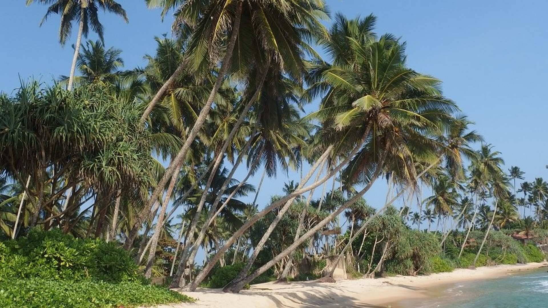 Una de las increíbles playas vírgenes de la isla