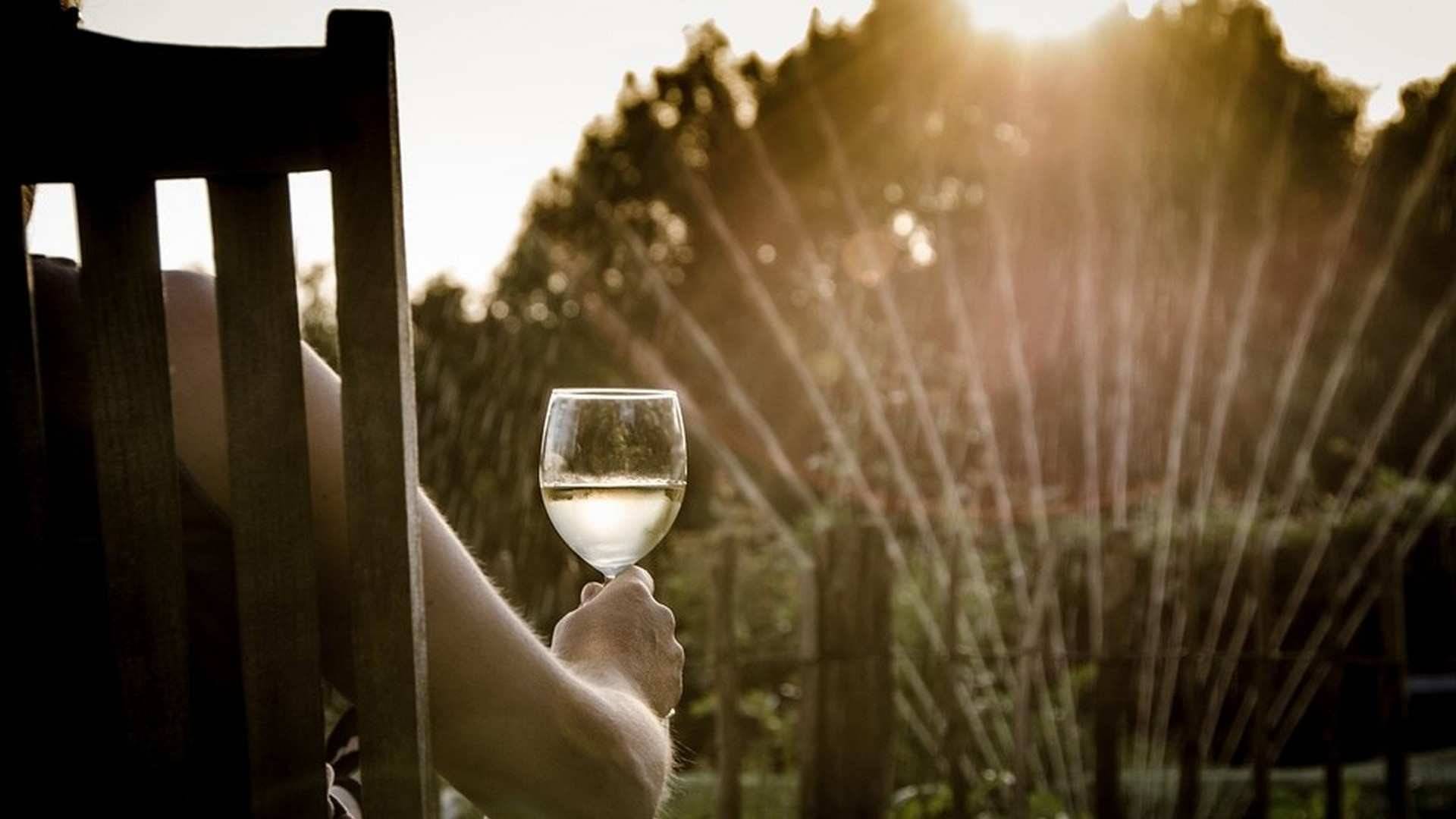 ¿Cuánto sabes del Vino Blanco? Preguntas y respuestas que te sorprenderán