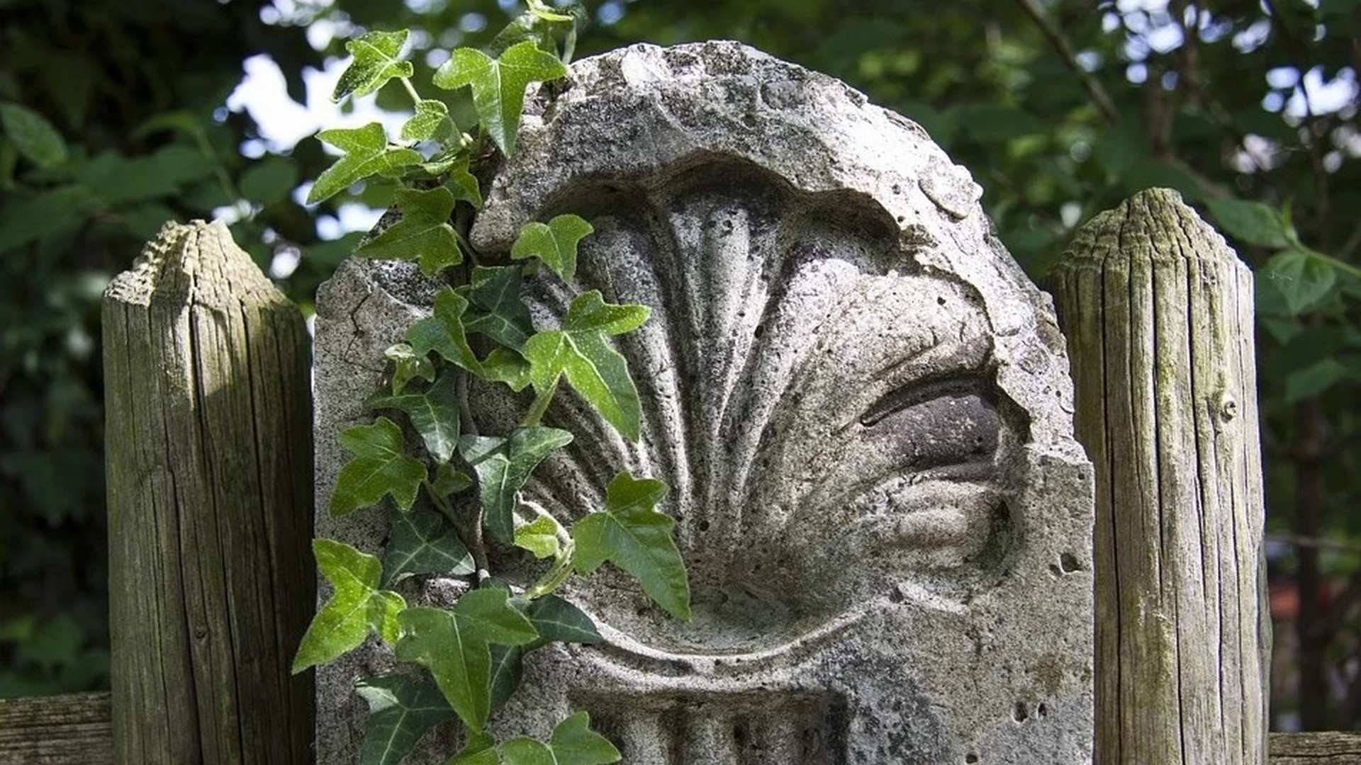 Descubre las mejores paradas y tascas del Camino de Santiago a su paso por Galicia