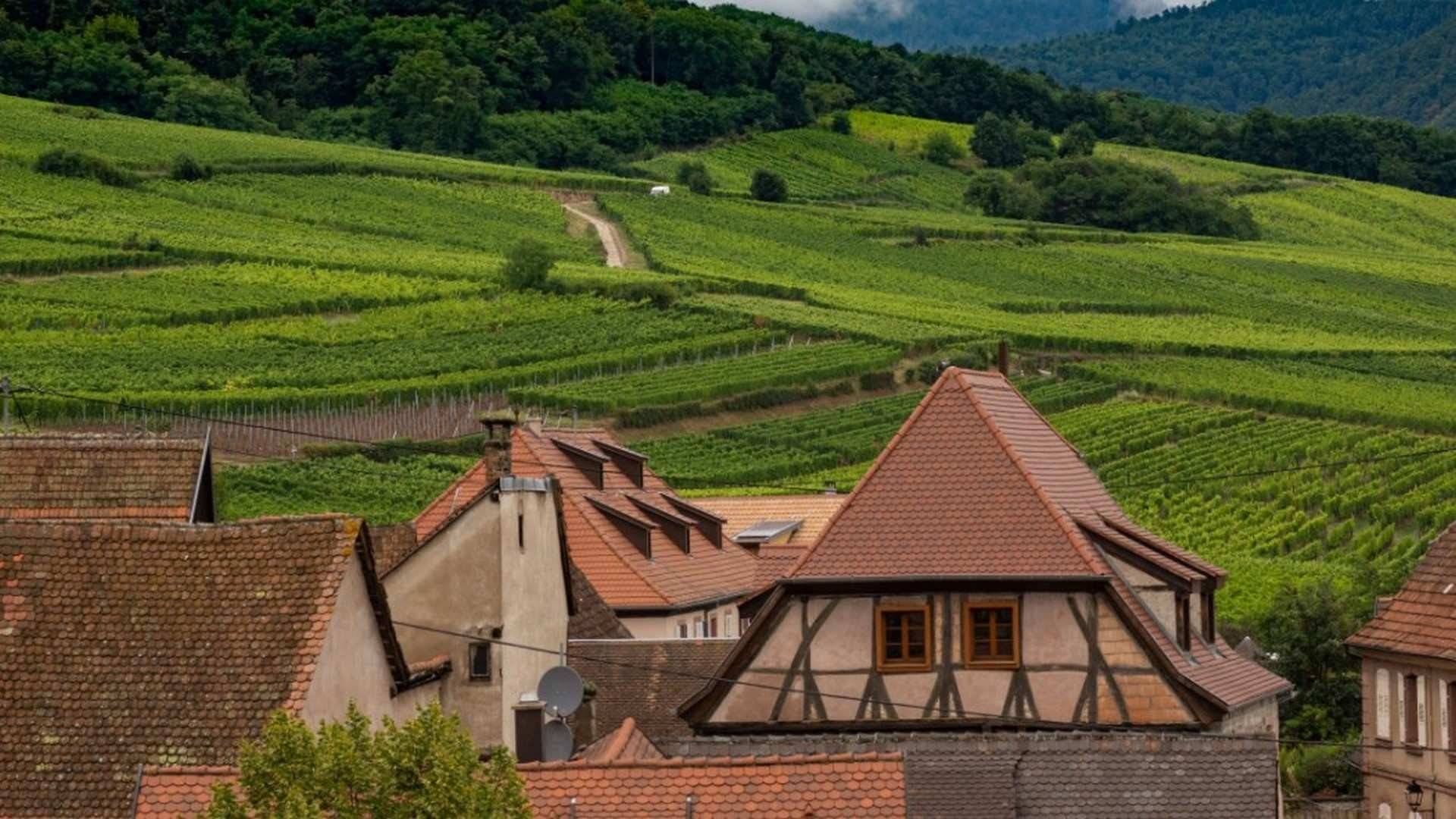 Los vinos de Alsacia: un viaje a través de los sentidos