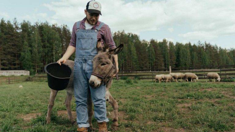 La cooperativas agroalimentarias: la alternativa de consumo post-covid