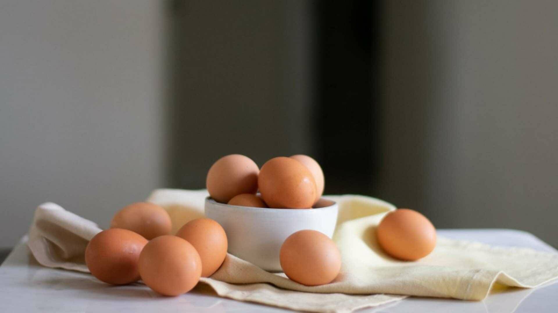 El huevo campero aumenta el HDL o colesterol bueno.