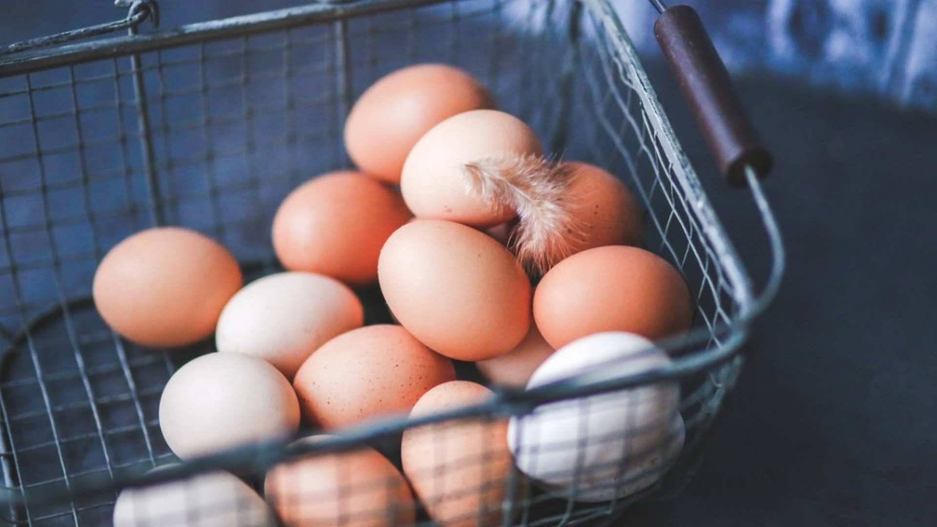 Huevos camperos: 5 características nutricionales que no conocías de este súper alimento
