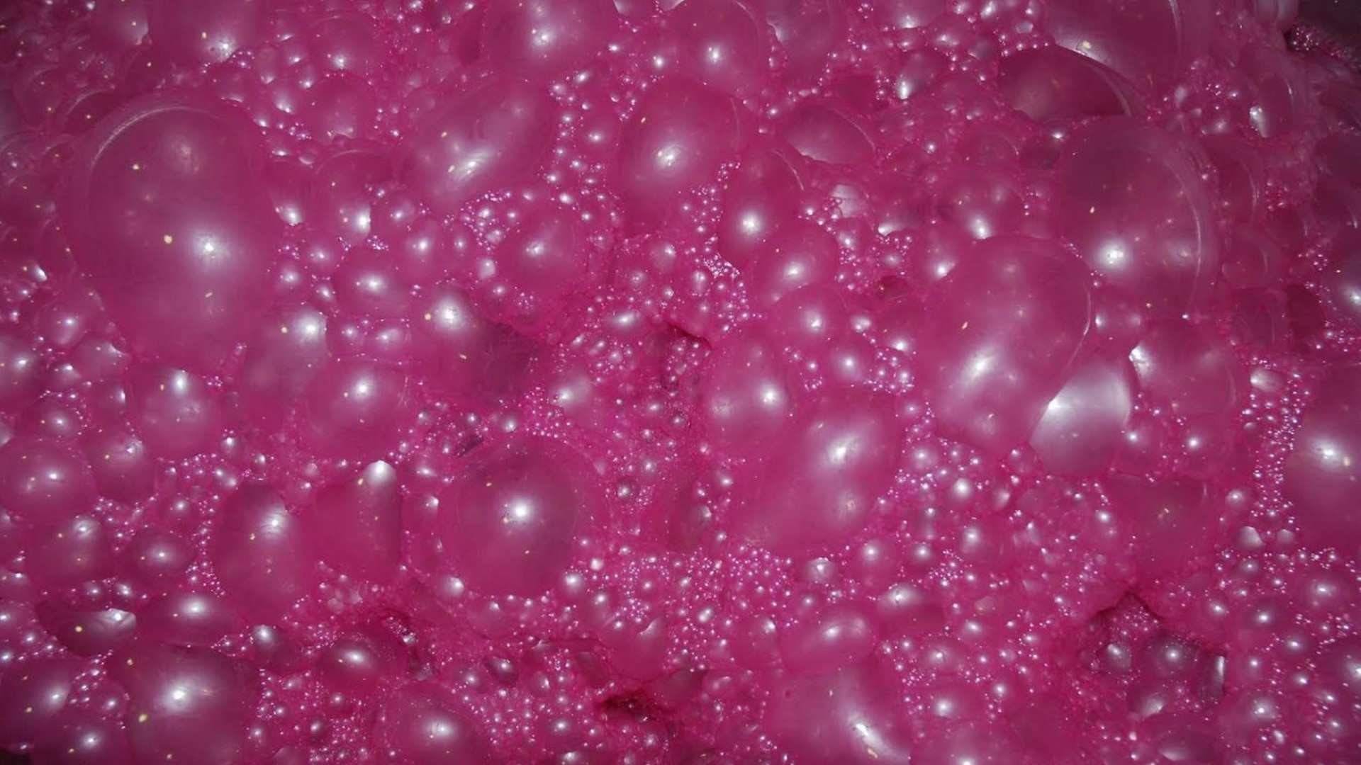 Levaduras: Qué son y cómo actúan en el proceso de elaboración del vino