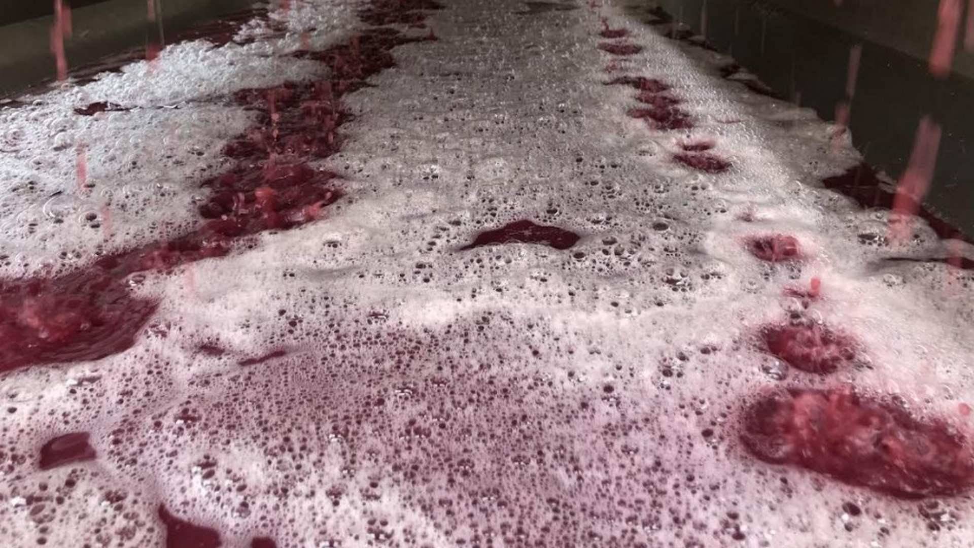 En el caso del vino rosado, que también se elabora con variedades tintas, para lograr ese color más pálido, existen dos métodos