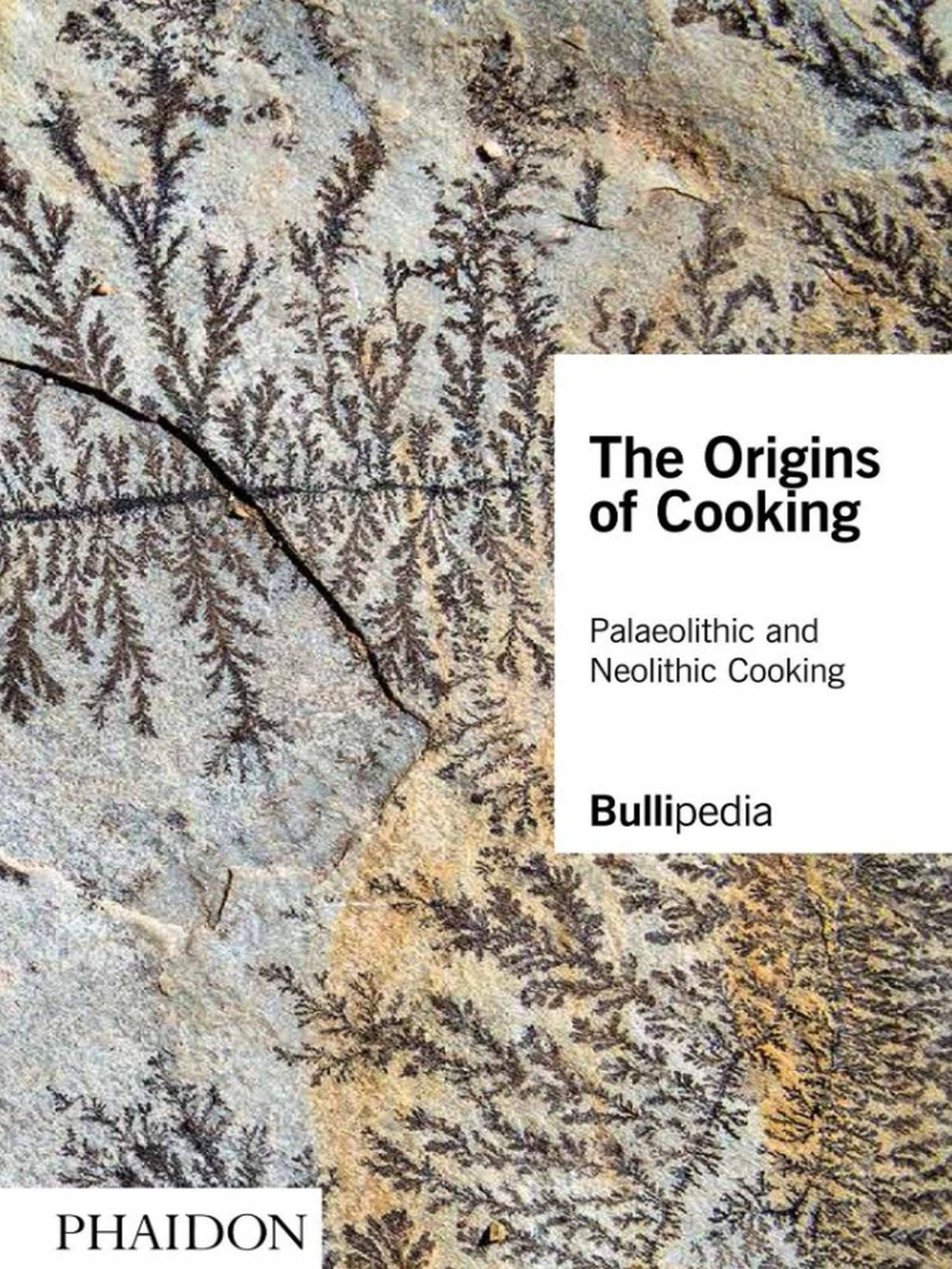 The Origins of Cooking: Palaeolithic and Neolithic Cooking