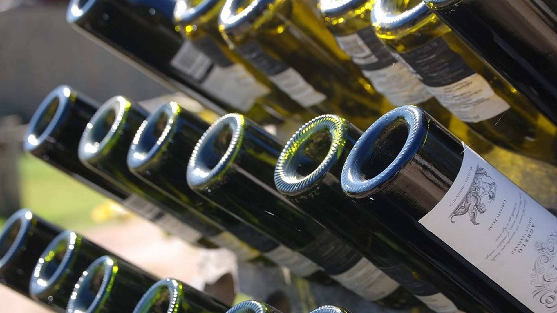 Mendoza representa el 80% de la producción nacional de vinos enArgentina