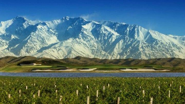 Breve historia de los vinos argentinos