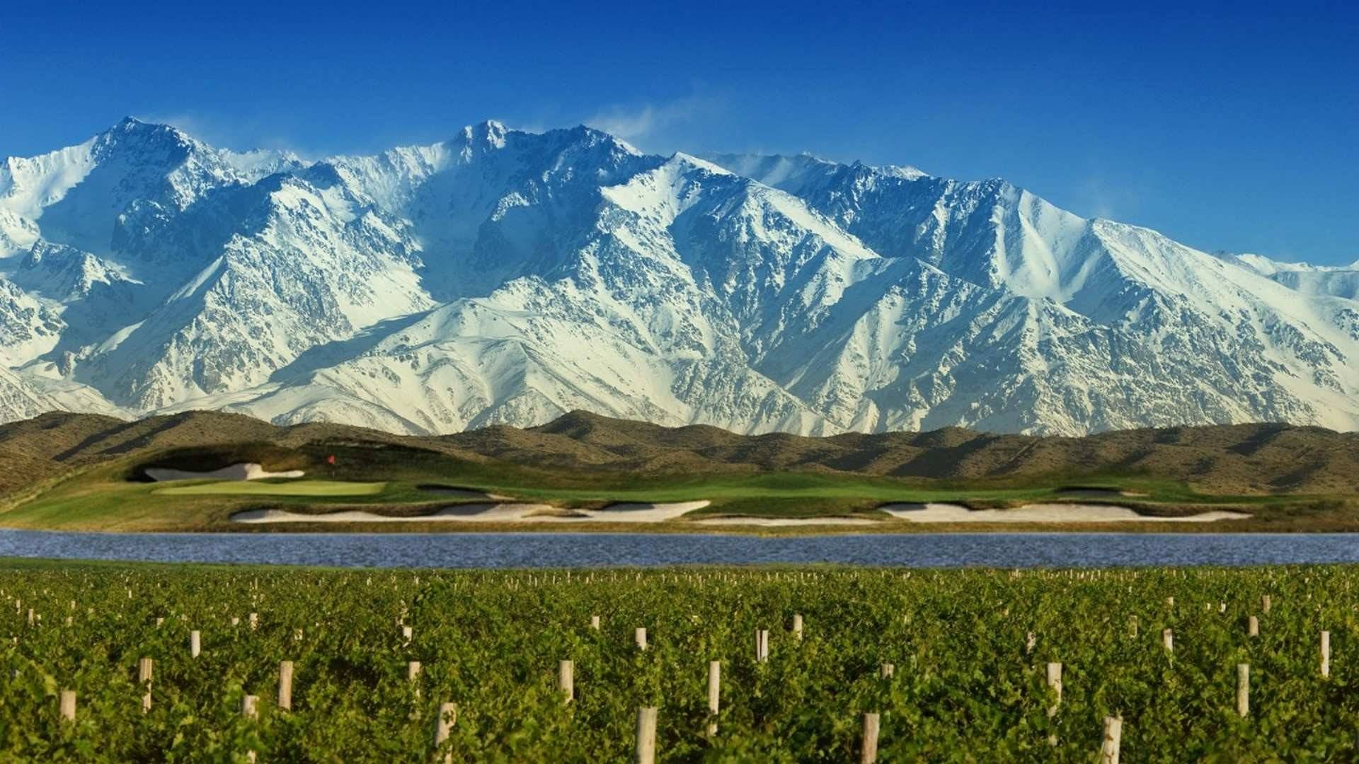 Breve historia de los vinos argentinos