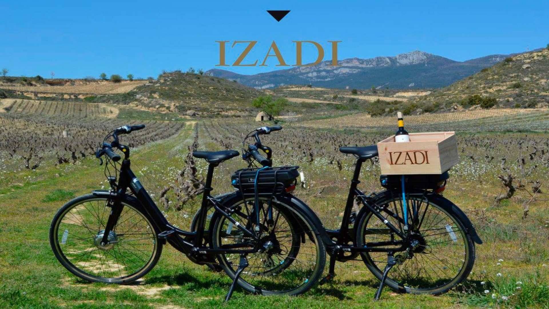 La ruta de enoturismo más aclamada de Izadi se realiza por los viñedos en bicicleta eléctrica.