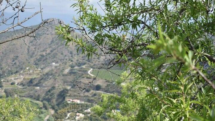 Qué ver y dónde comer en La Axarquía Malagueña
