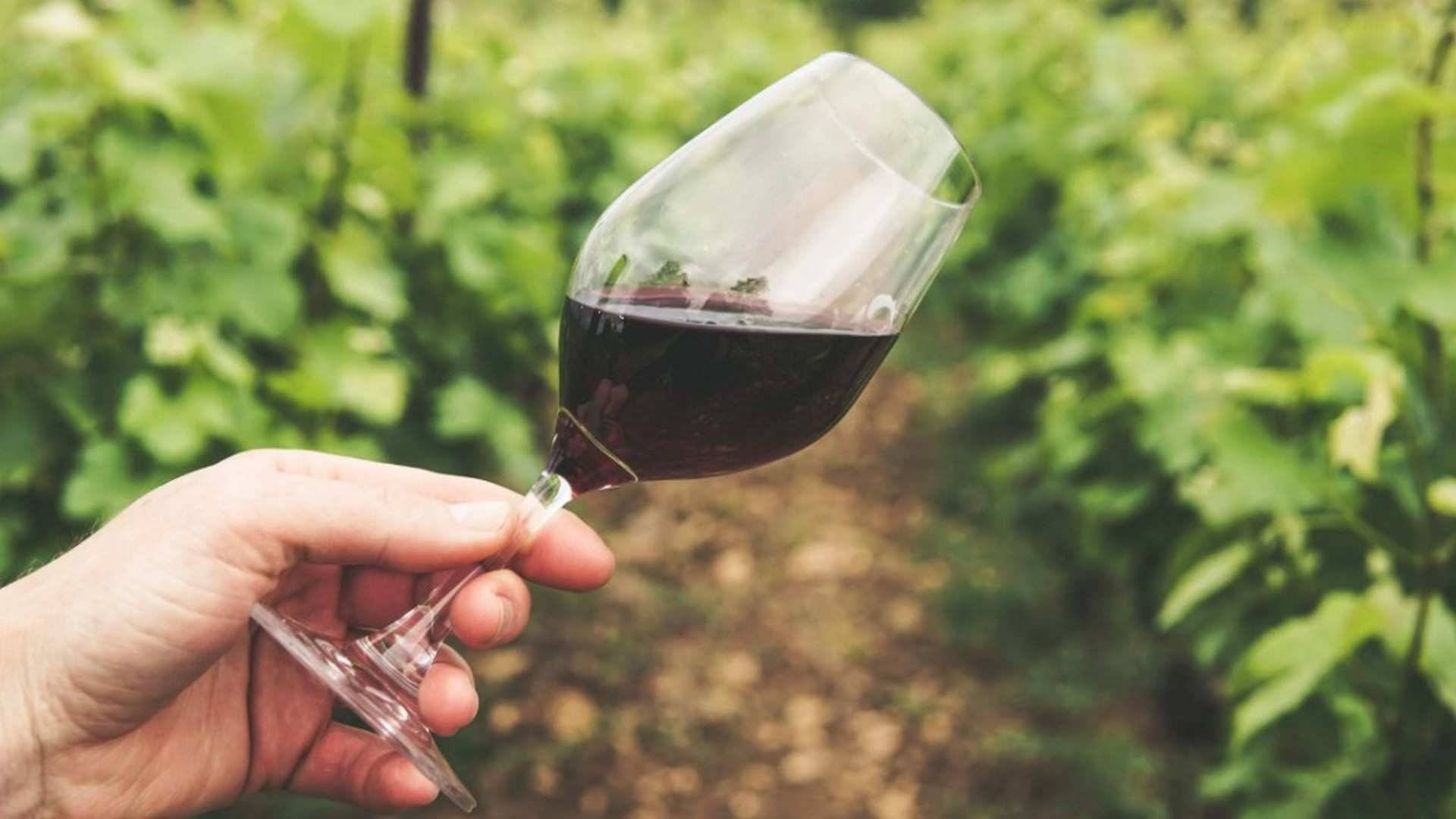 Antes de elegir el vino, piensa bien en la situación en la que vas a tomarlo