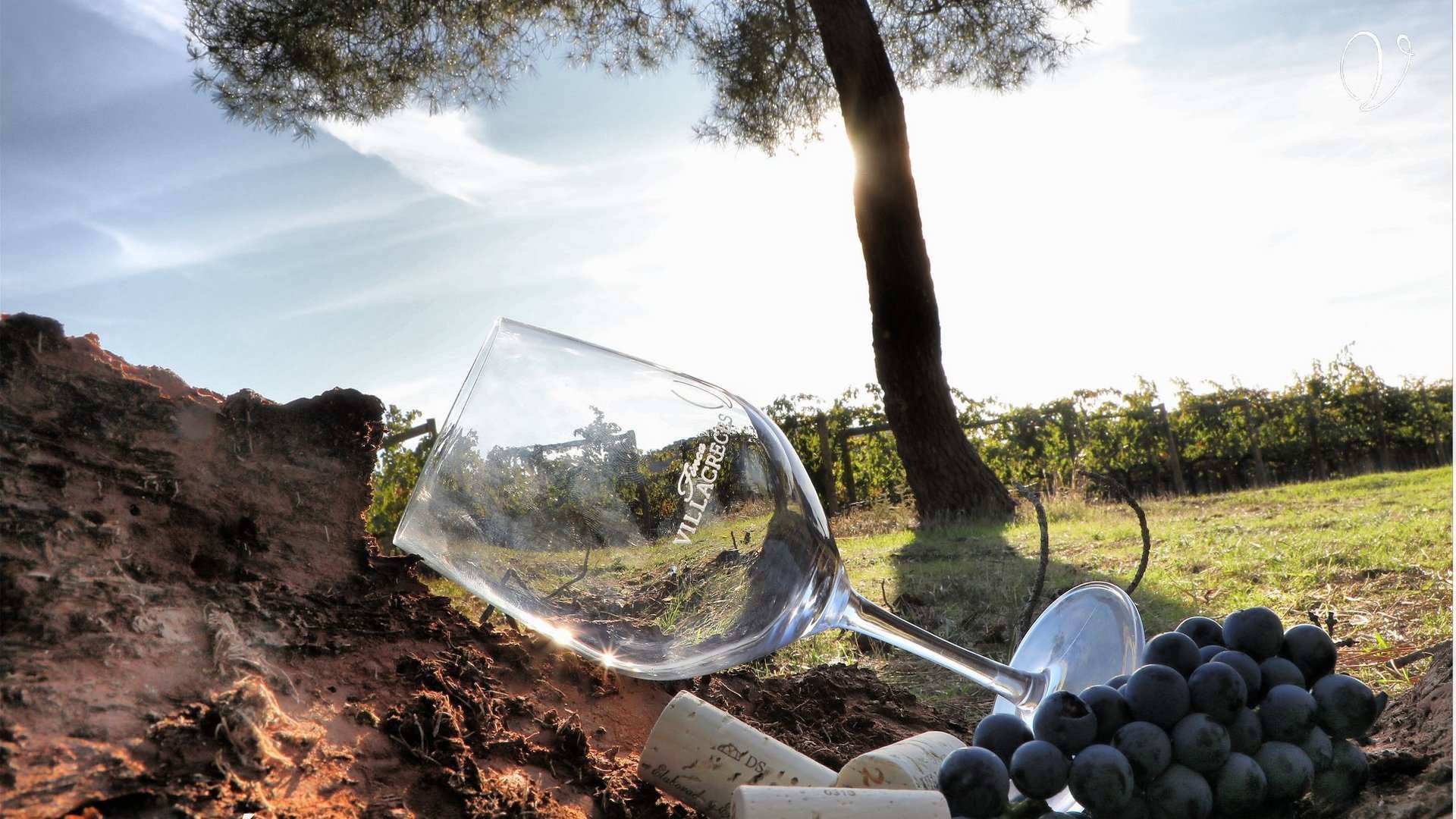 Finca Villacreces: Enoturismo en Ribera de Duero