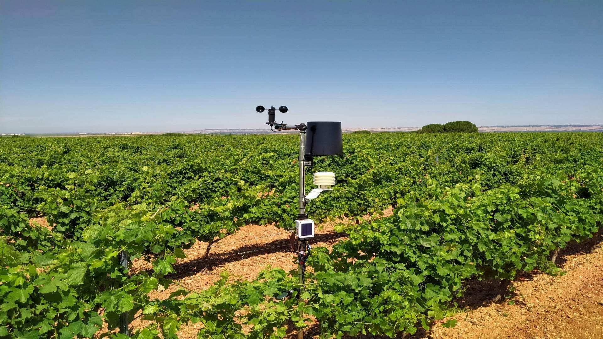 El nuevo sistema de estaciones agroclimáticas de D.O Rueda