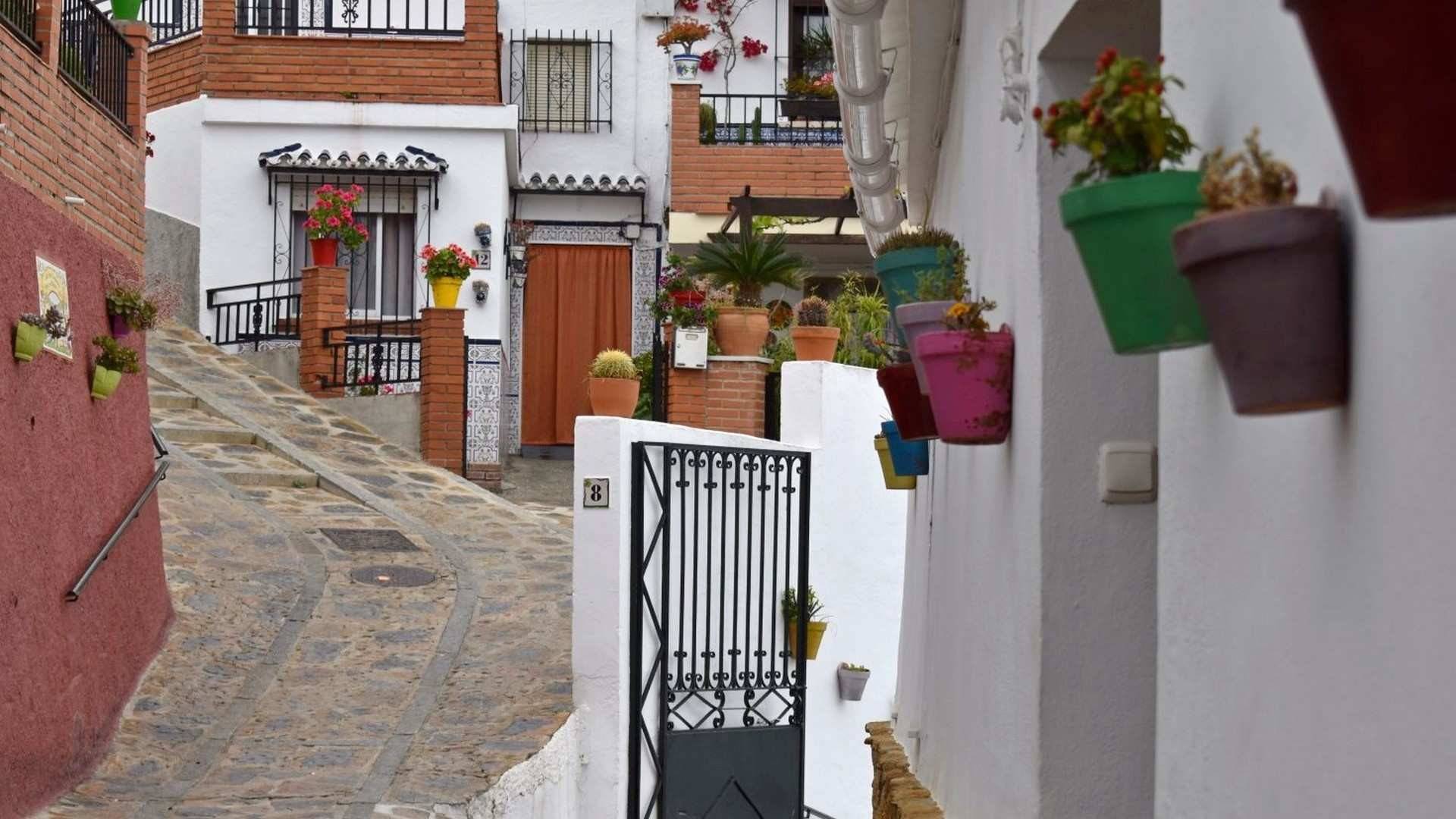 Las calles de Moclinejo están cuidadas hasta el último detalle, es más, se otorgan premios a las calles mejore engalonadas.