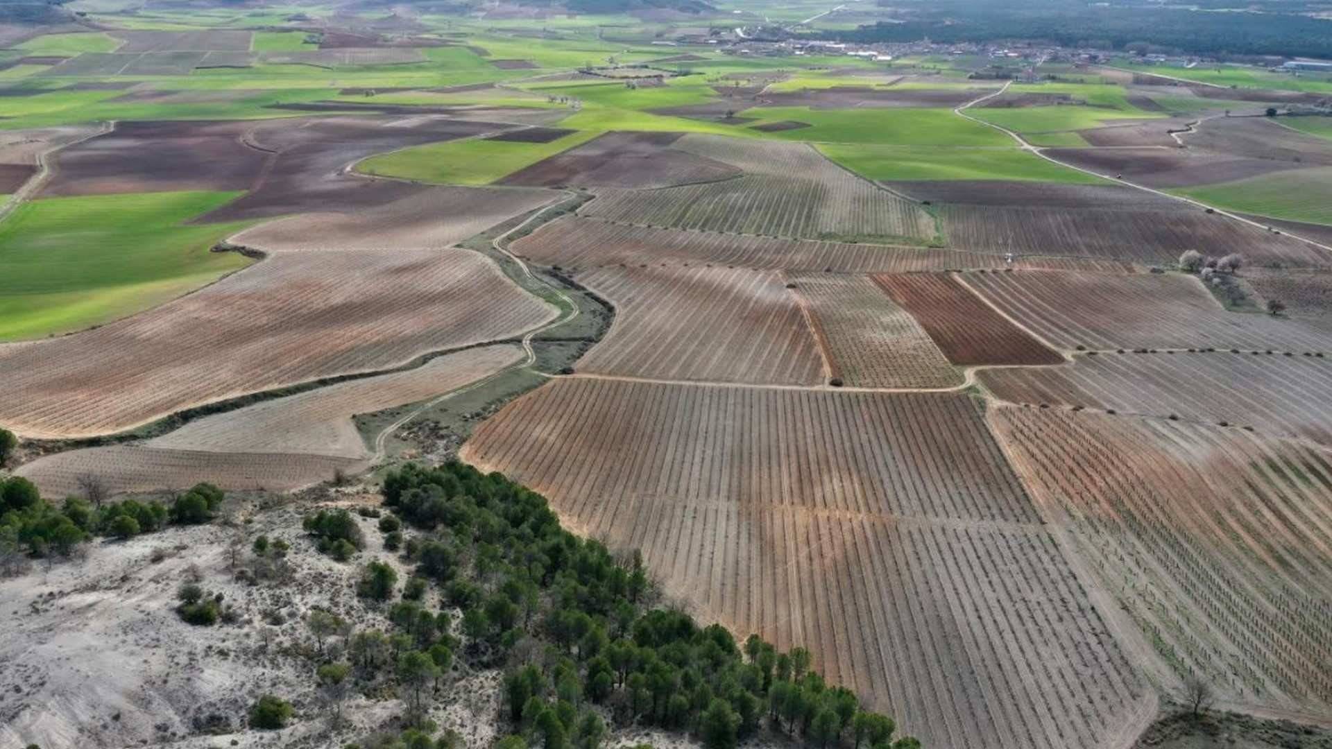 El Terroir