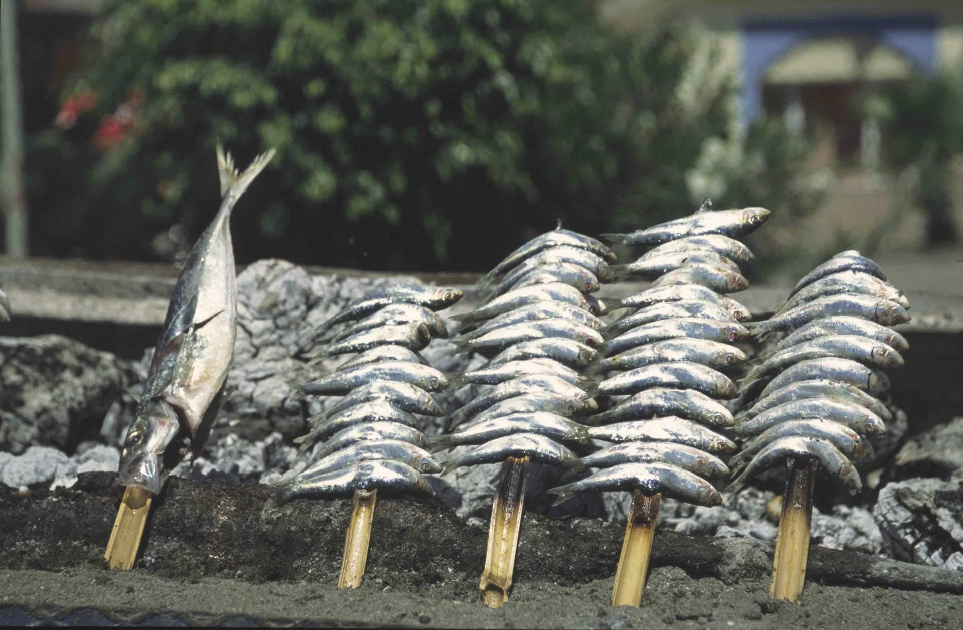 El espeto de sardinas, lo más buscado en los chiringuitos de Málaga.